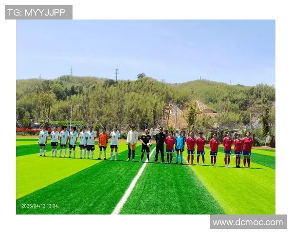 方姓足球明星的辉煌历程与成就解析，探索他们在绿茵场上的精彩瞬间